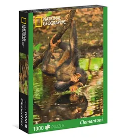 Puzzle National Geographic Chimpanzee 1000