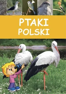 Ptaki Polski - Dominik Marchowski
