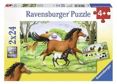 Puzzle Świat koni 2x24