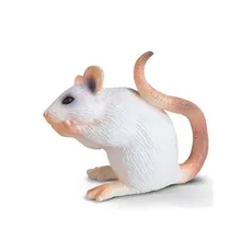 Biała Mysz