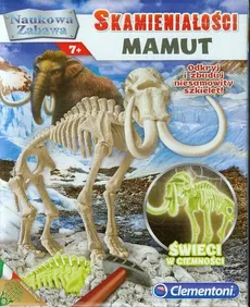 Skamieniałości Mamut - Outlet