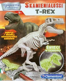 Skamieniałości T-rex - Outlet