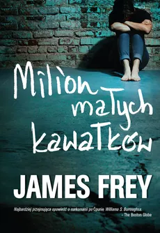 Milion małych kawałków - James Frey