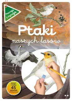 Ptaki naszych lasów Część 2 - Katarzyna Kopiec-Sekieta, Grazyna Maternicka