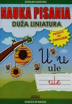 Nauka pisania Duża liniatura - Outlet - Beata Guzowska