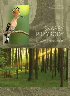 Skarby przyrody lasów rybnickich - Tomasz Sczansny, Aleksander Żukowski