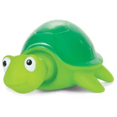 Żółwik wysuwający głowę