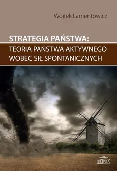 Strategia państwa teoria państwa aktywnego wobec sił spontanicznych - Outlet - Wojtek Lamentowicz