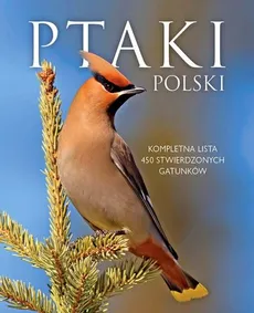 Ptaki Polski - Dominik Marchowski