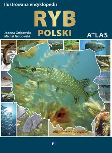 Ilustrowana encyklopedia ryb - Outlet - Joanna Grabowska, Michał Grabowski
