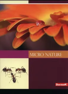 Zeszyt A5 w kratkę 96 kartek Micro Nature 5 sztuk