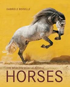 Horses - Gabriele Boiselle