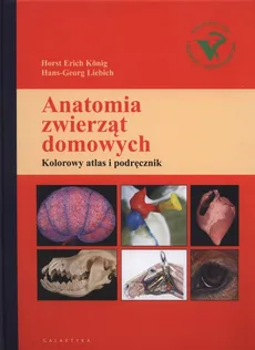 Anatomia zwierząt domowych - Outlet - Konig Horst Erich, Hans-Georg Liebich