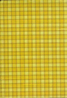 Brulion A5 w kratkę 288 kartek szkocka krata żółta