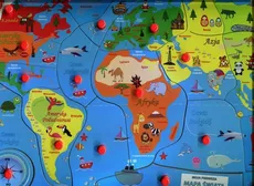 Puzzle drewniane układanka z pinezkami Mapa świata