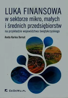 Luka finansowa w sektorze mikro, małych i średnich przedsiębiorstw - Outlet - Bernat Aneta Karina