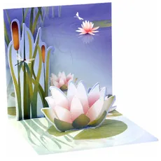 Kartki 3D Water Lily