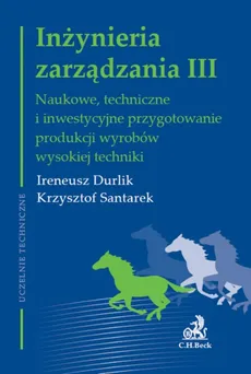 Inżynieria zarządzania III - Ireneusz Durlik, Krzysztof Santarek