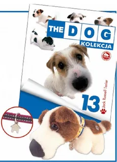 Dog Kolekcja 13 Jack Russell Terrier