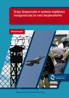 Socjologia LXII. Grupy dyspozycyjne w systemie współpracy transgranicznej na rzecz bezpieczeństwa