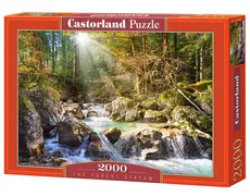 Puzzle The forest stream 2000 - Outlet
