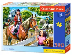 Puzzle Horse Riding 300