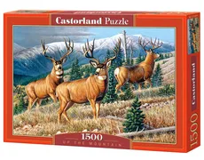 Puzzle Up the Mountain 1500