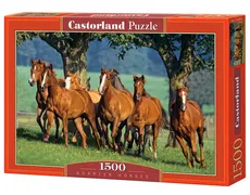 Puzzle Quarter Horses 1500