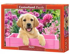 Puzzle Labrador Puppy in Pink Box 500