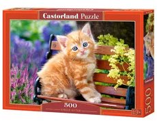 Puzzle Ginger Kitten 500 - Outlet