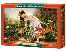 Puzzle At The Rose Garden 1000