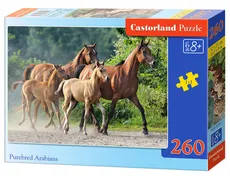 Puzzle Purebred Arabians 260
