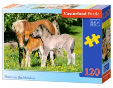 Puzzle Ponies in the Meadow 120