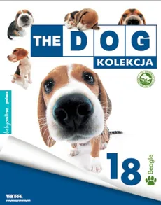 The dog Beagle