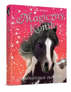 Magiczny konik Czarodziejskie przygody - Sue Bentley