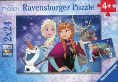 Puzzle Frozen Zorza polarna 2x24