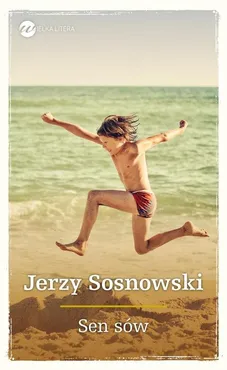 Sen sów - Outlet - Jerzy Sosnowski