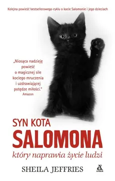 Syn kota Salomona który naprawia życie ludzi - Outlet - Sheila Jeffries