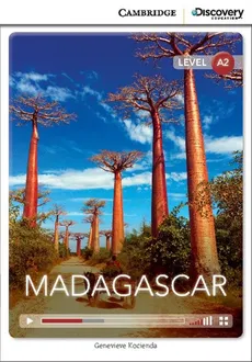 Madagascar - Outlet - Genevieve Kocienda