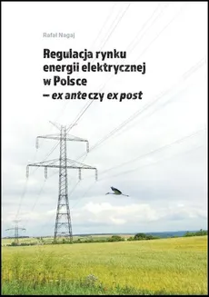 Regulacja rynku energii elektrycznej w Polsce ex ante czy ex post - Rafał Nagaj