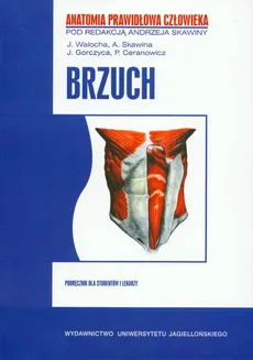 APC Brzuch - Outlet