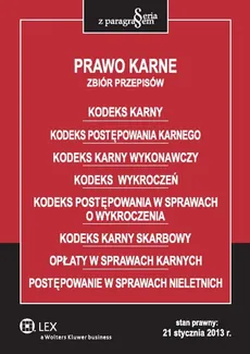 Prawo karne Zbiór przepisów - Outlet