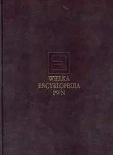 Wielka encyklopedia PWN T.8 - Outlet