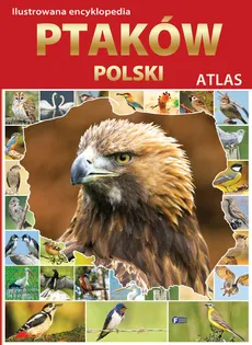 Ilustrowana encyklopedia ptaków Polski - Outlet