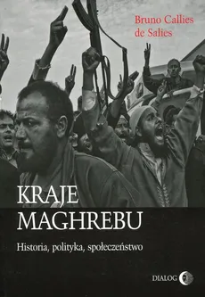 Kraje Maghrebu Historia polityka społeczeństwa - Outlet - de Salies Bruno Callies