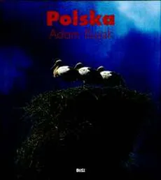 Polska - Outlet - Bujak Adam