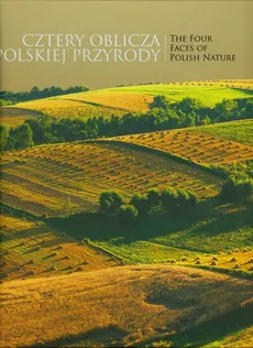 Cztery oblicza polskiej przyrody - Outlet - Tomasz Kłosowski