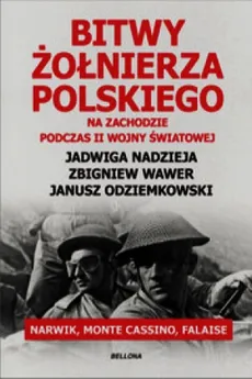 Bitwy żołnierza polskiego na Zachodzie podczas II wojny światowej - Outlet - Jadwiga Nadzieja, Janusz Odziemkowski, Zbigniew Wawer