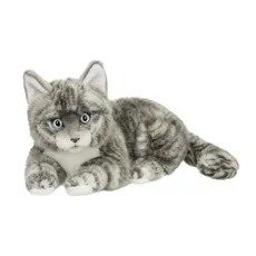 Kot amerykański srebrny krótkowłosy 25cm