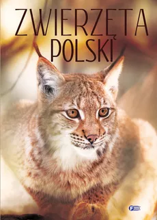 Zwierzęta Polski - Outlet
